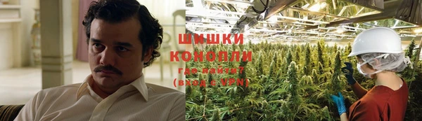 твердый Дмитриев