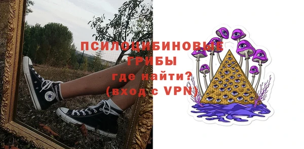 твердый Дмитриев