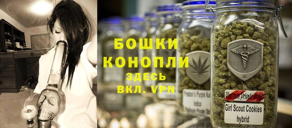 твердый Дмитриев